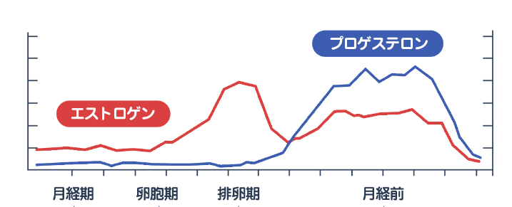 月経周期による日常生活ホルモンの変動と心身の不調を説明する画像