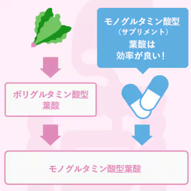 合成葉酸の説明画像
