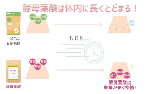ベルタ葉酸の特徴を説明する画像